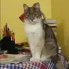 Отзыв от Яна Кононова